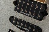Ibanez Prestige RG-2570Z Vital Silver-13.jpg